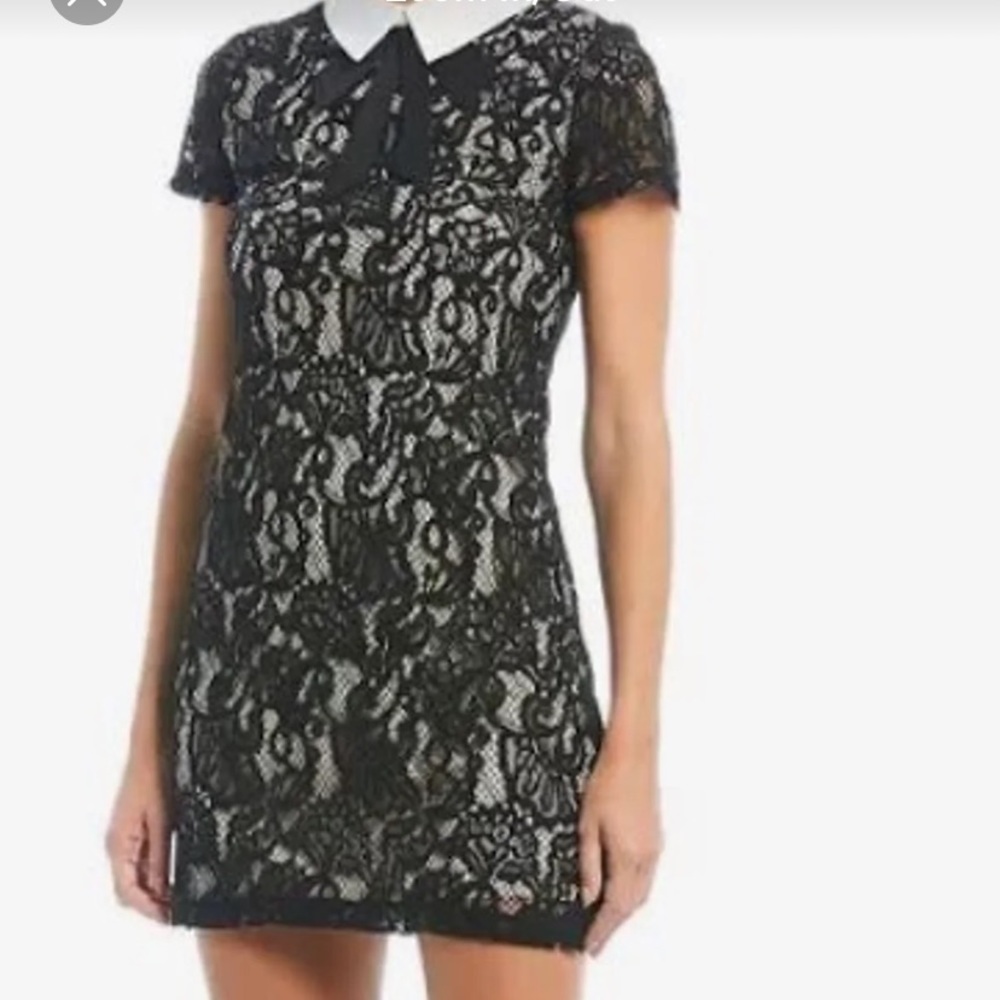 Betsey Johnson Lace Collared Dress